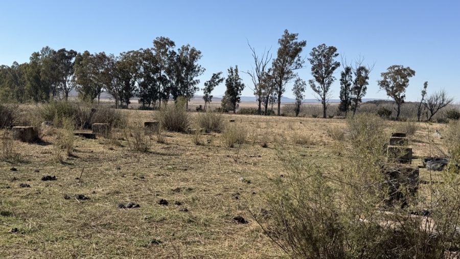 Commercial Property for Sale in Senekal Free State
